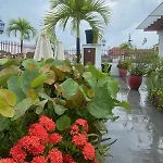 Patio De Getsemani