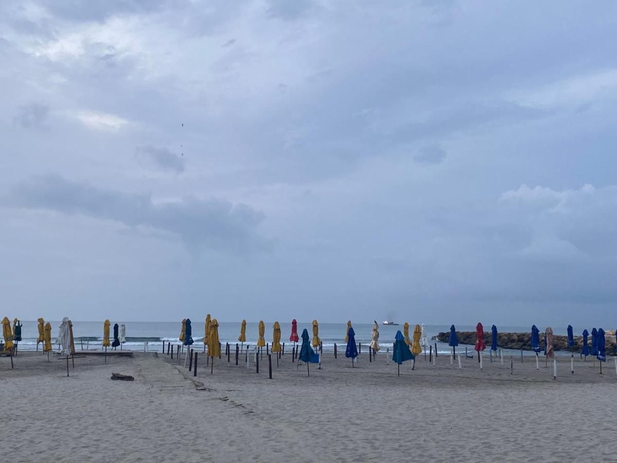 Apartamento Lujoso A Un Minuto De La Playa Del Laguito, La Mejor Playa De De Indias Apartment *