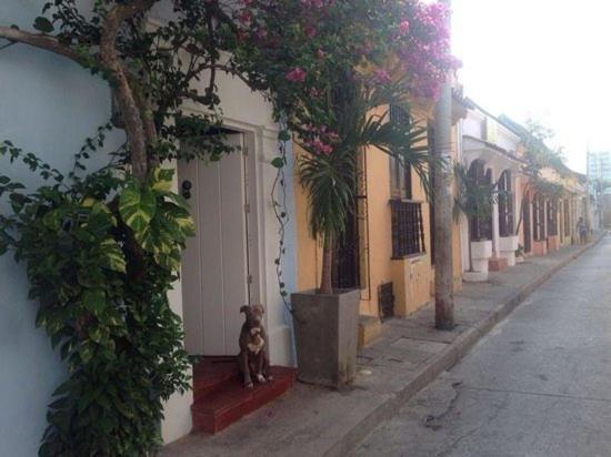 Guest house Casa Sallena *