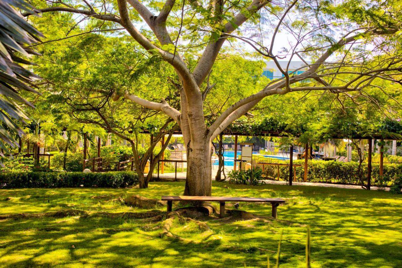 Estelar Playa Manzanillo Hotel 5*