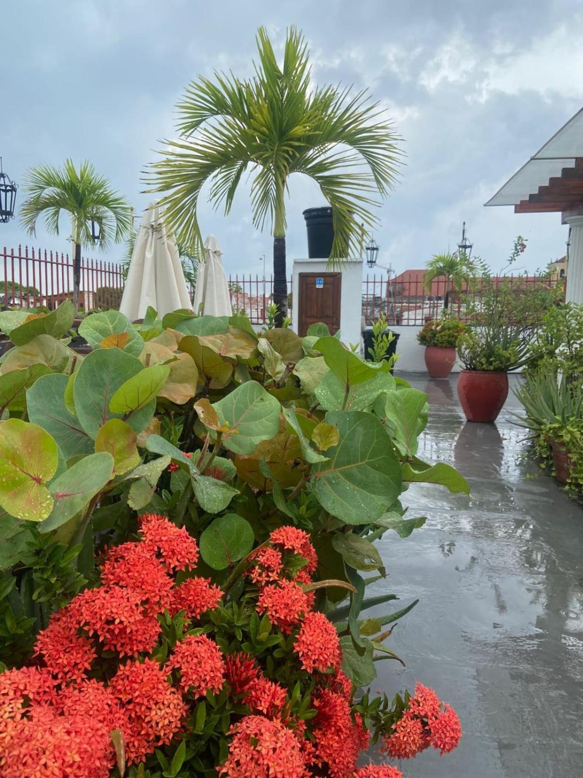 Patio De Getsemani Hotel 3*