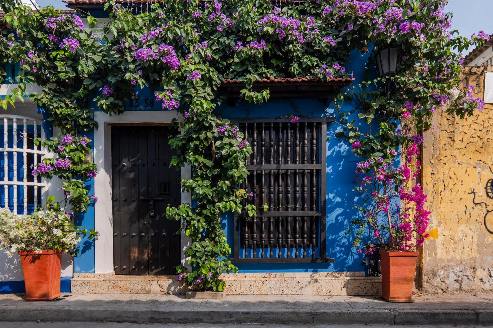 Casa Familiar - Maria De Palmas -getsemani Holiday home