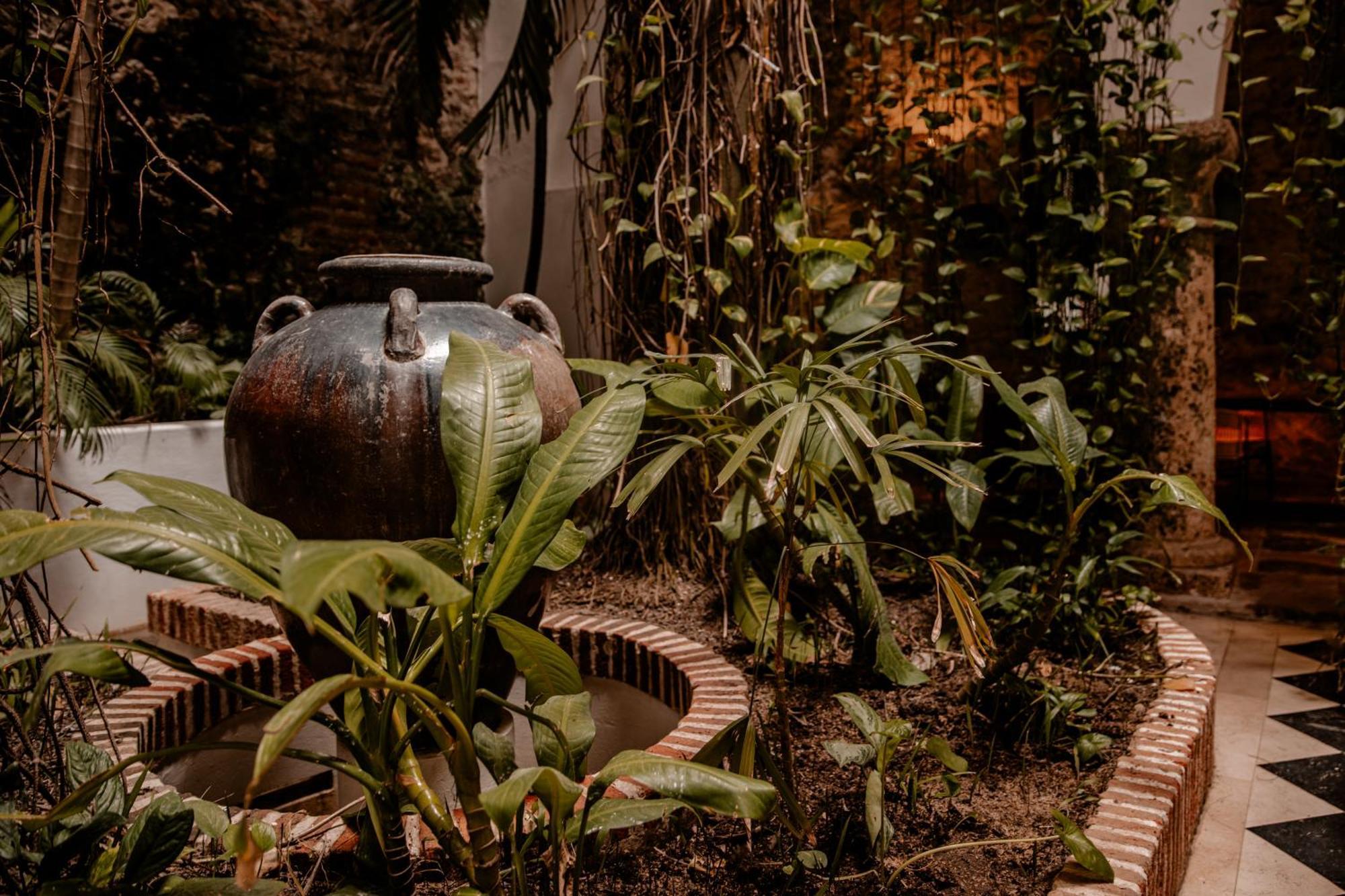 Amarla Boutique Cartagena