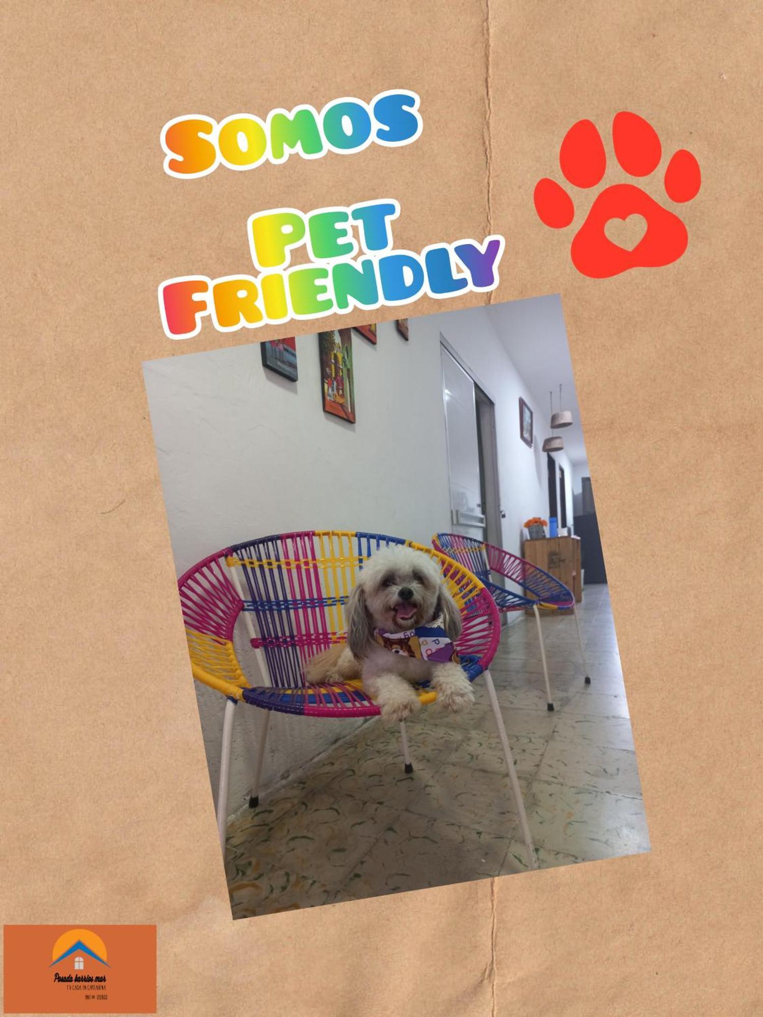 Guest house Barrios Mar *