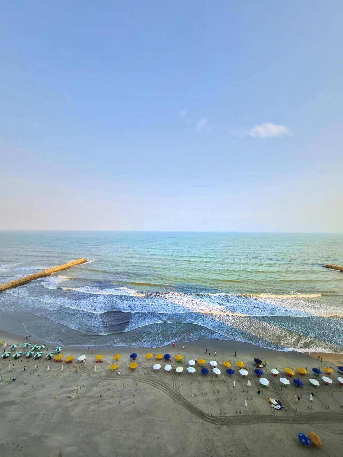 Beachfront Luxurious Apartment, Palmetto Apartment *