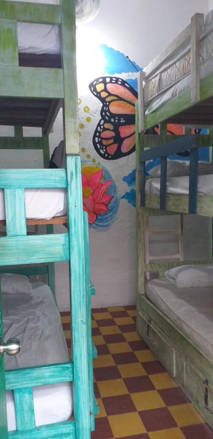 Green House Getsemani Albergue Cartagena