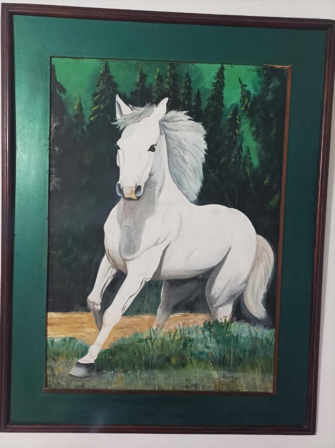 Caballo Blanco *