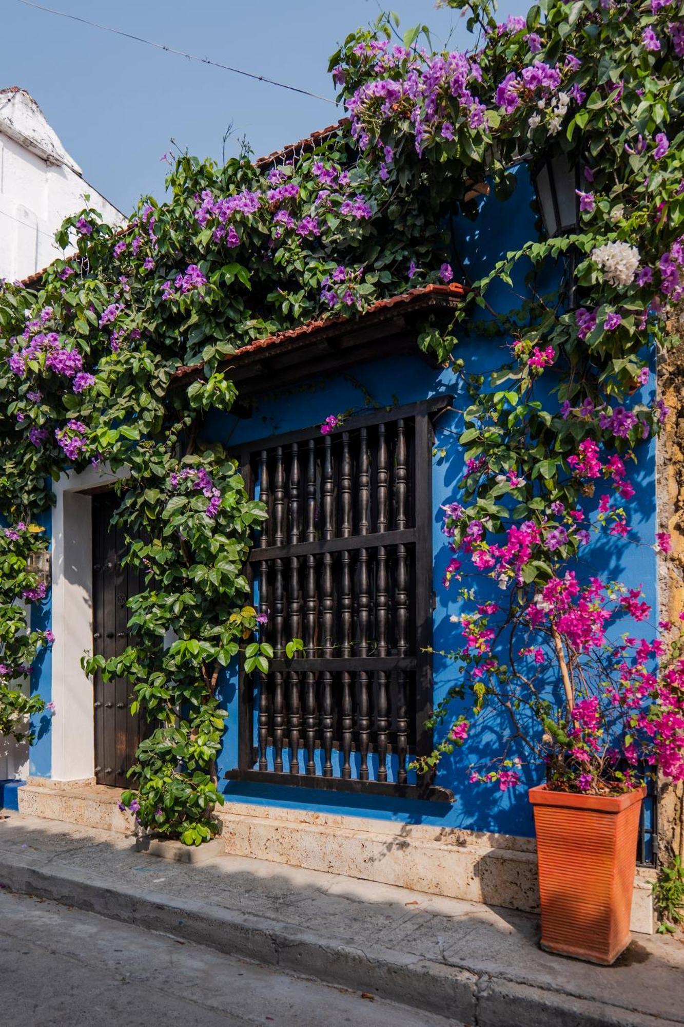 Casa Familiar - Maria De Palmas -getsemani