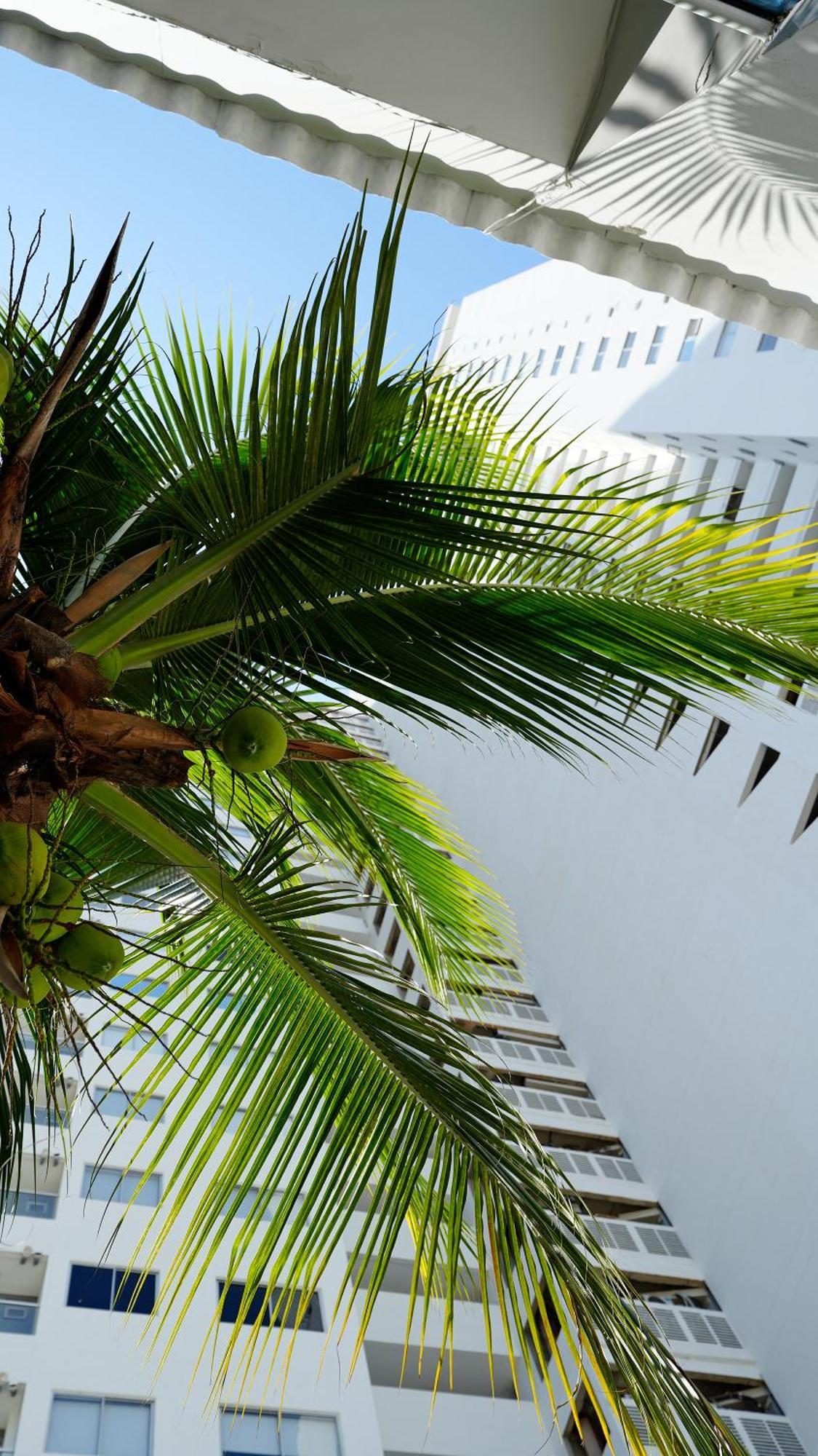 Casa Bellamare Guest house
