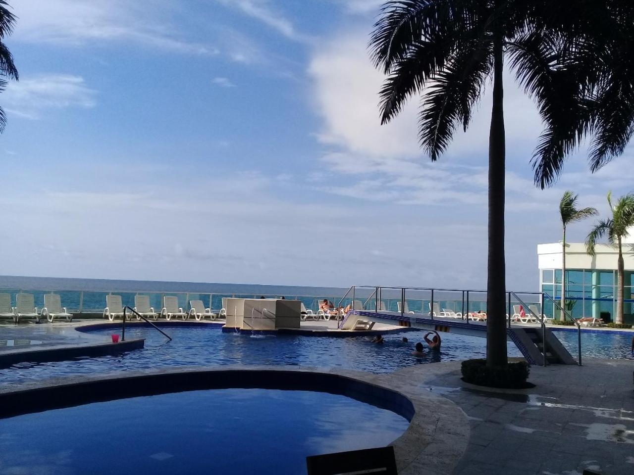 En Palmetto Cartagena