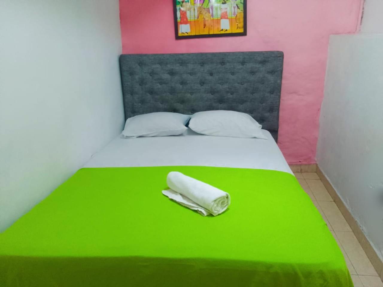 New Iguana House * Cartagena