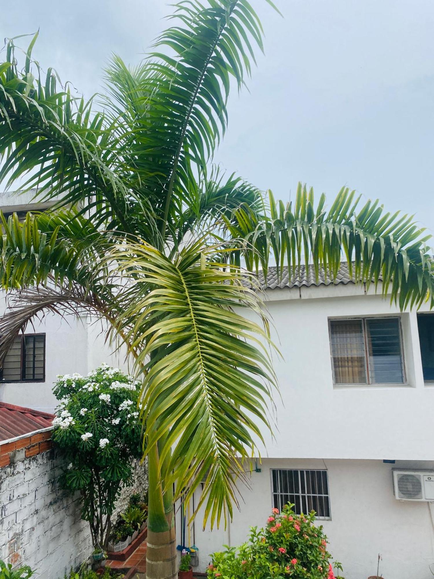 Casa de hóspedes Paraiso Pie De La Popa
