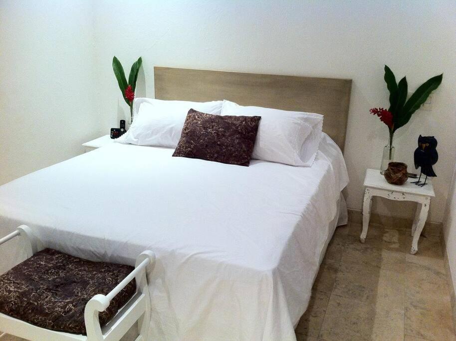 Charming 1br In The Heart Of Cartagena's Old Apartment
