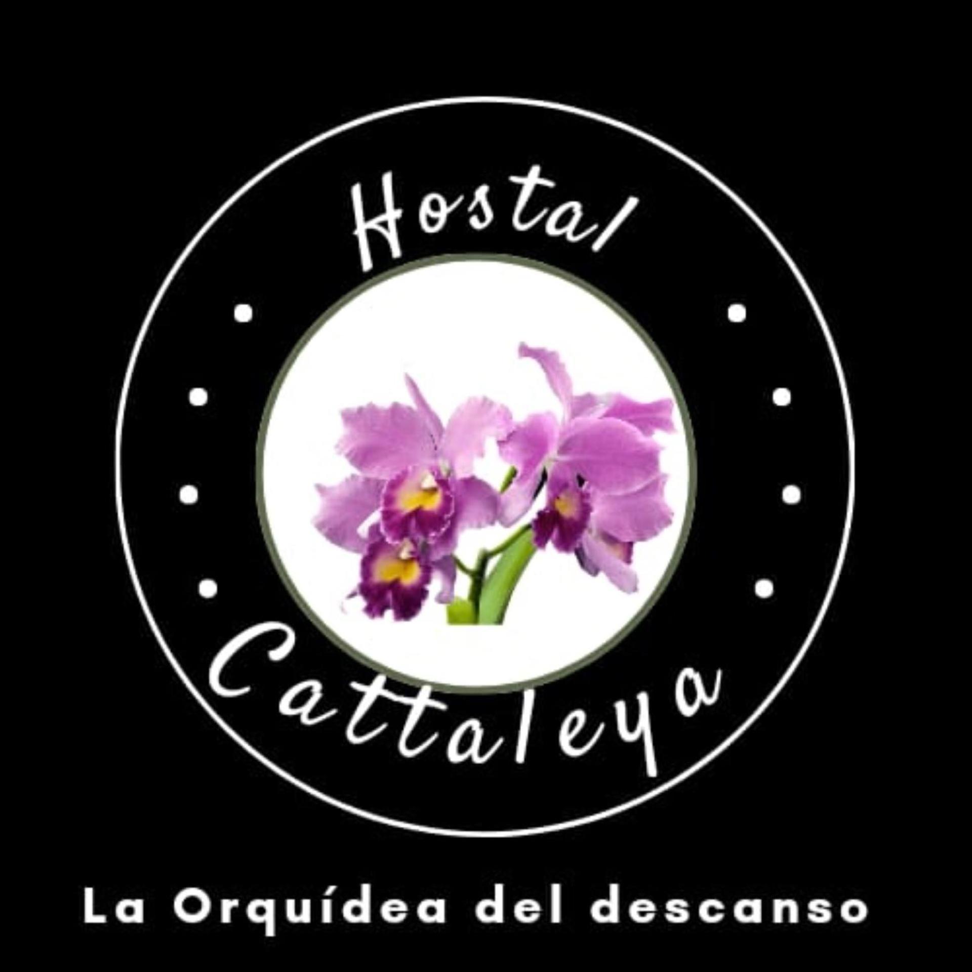 Catalleya Albergue