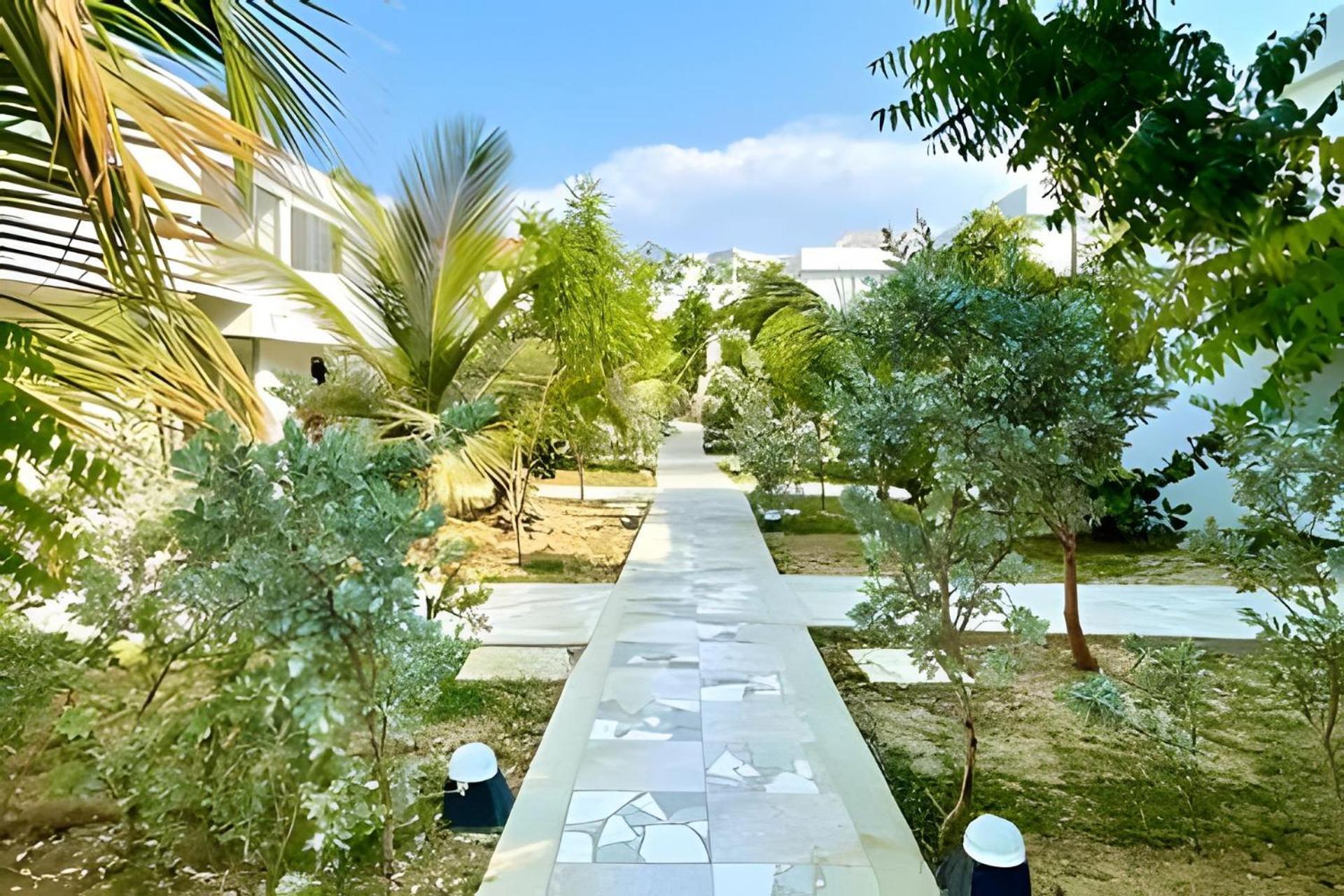 Hotel Playa Palmeras