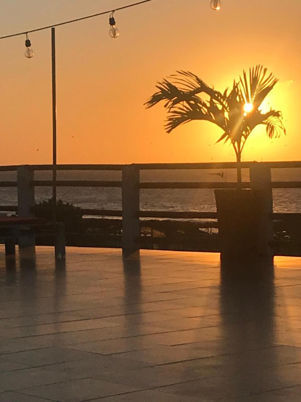 Hotel Palmera 3*