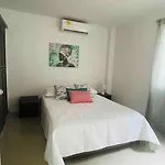 Palmar 102