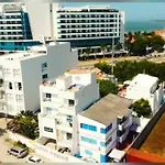 Palmar 102