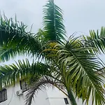 Paraiso Pie De La Popa