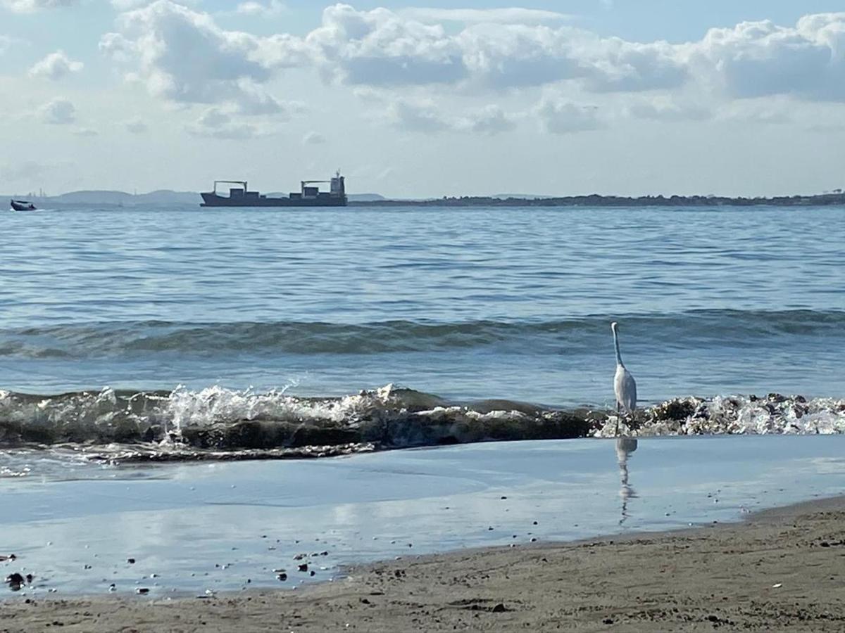 Apto Exclusivo En Bocagrande Frente Al Mar Apartamento