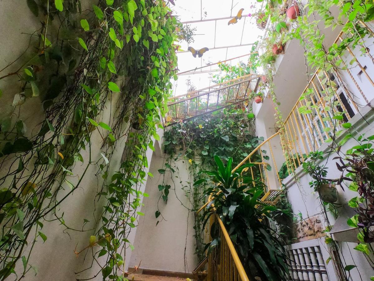 Bed & Breakfast Casa Mary *
