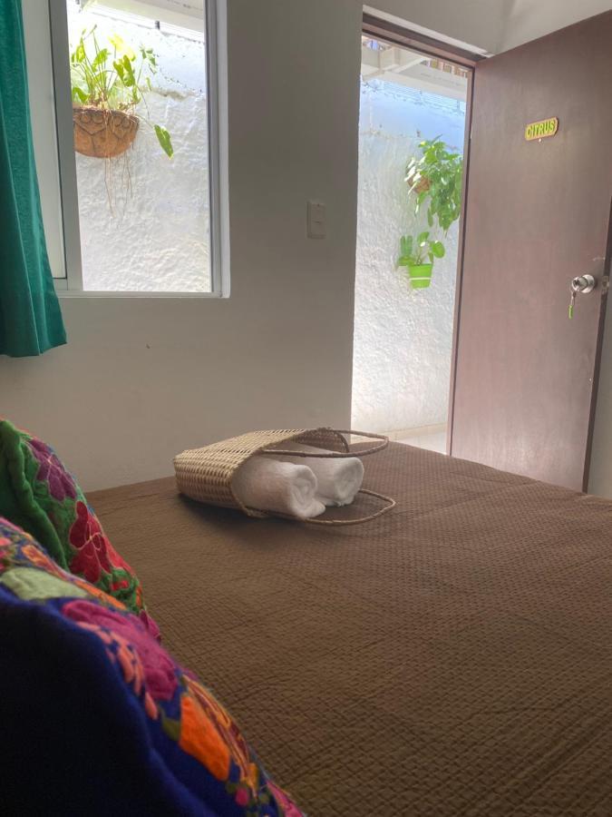 Casa San Juan Homestay