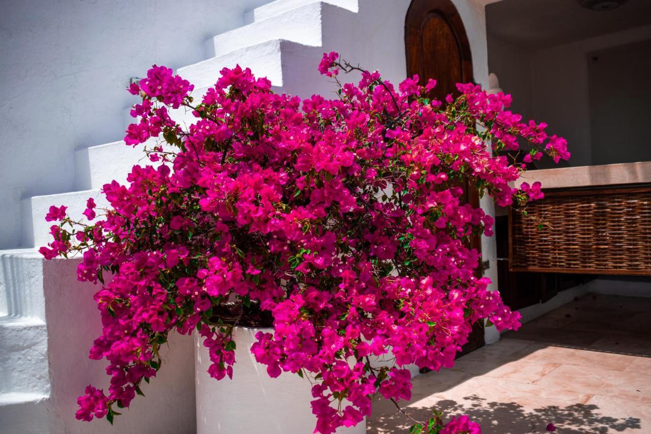 Aguamarina Boutique (adults Only) Hotel Cartagena