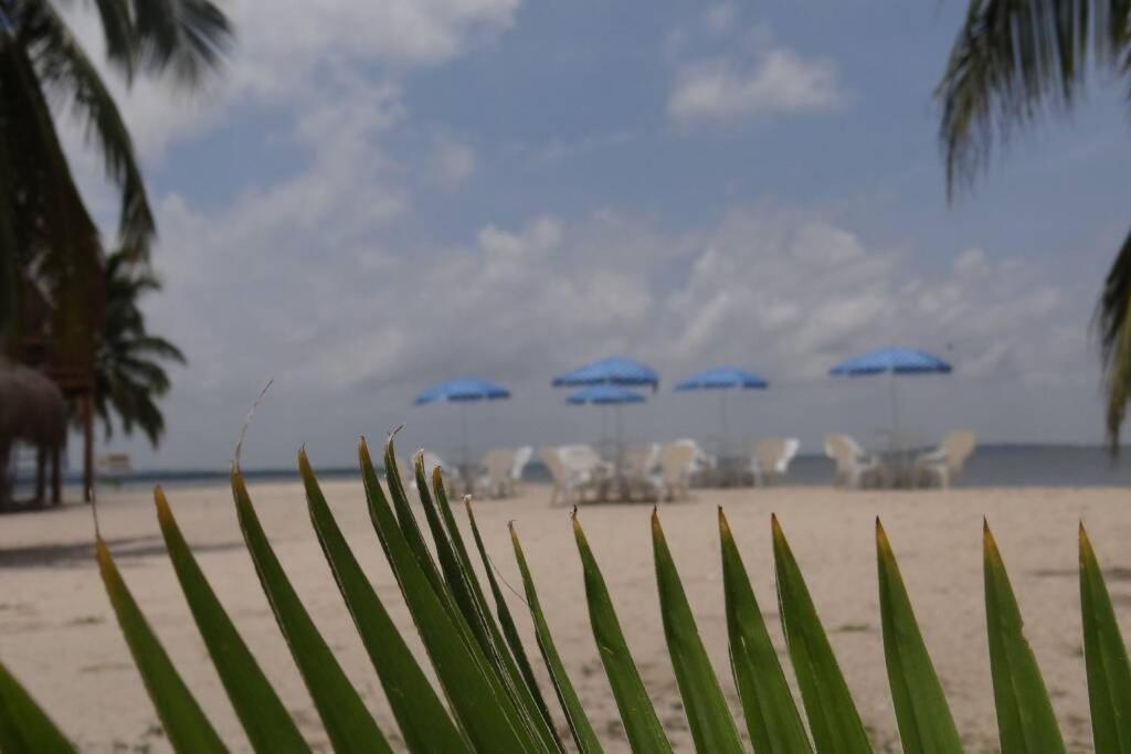 Villa CAMATAJUA BARÚ HOUSE, casa con playa en Isla Barú