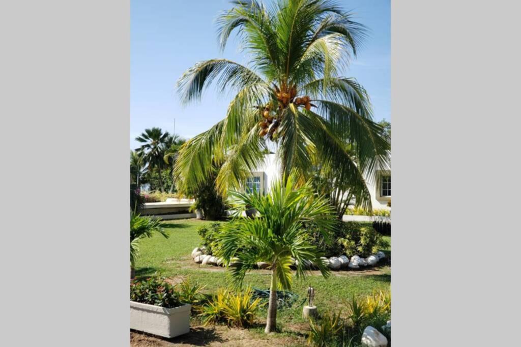 Villa CAMATAJUA BARÚ HOUSE, casa con playa en Isla Barú