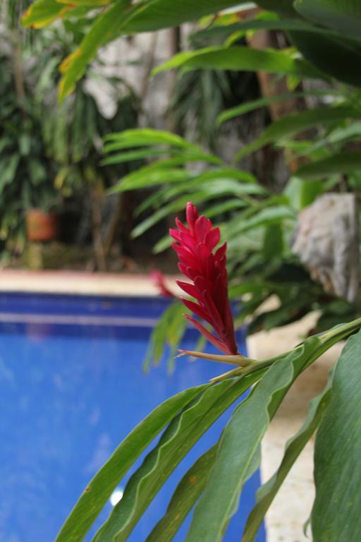 Hotel Casa Del Tejadillo Cartagena