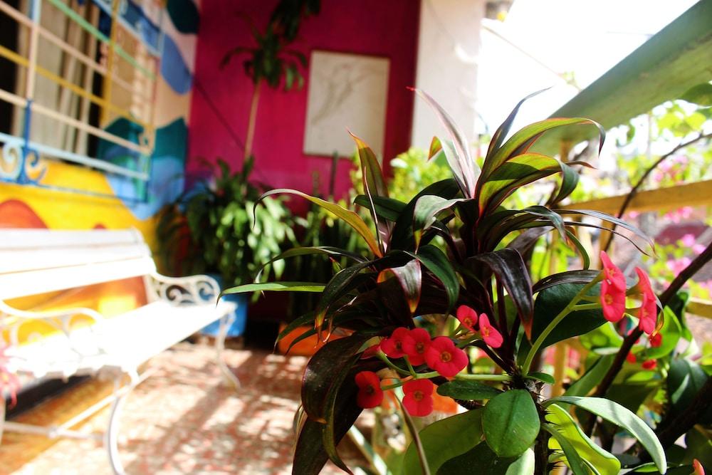 Casa Venecia Albergue *