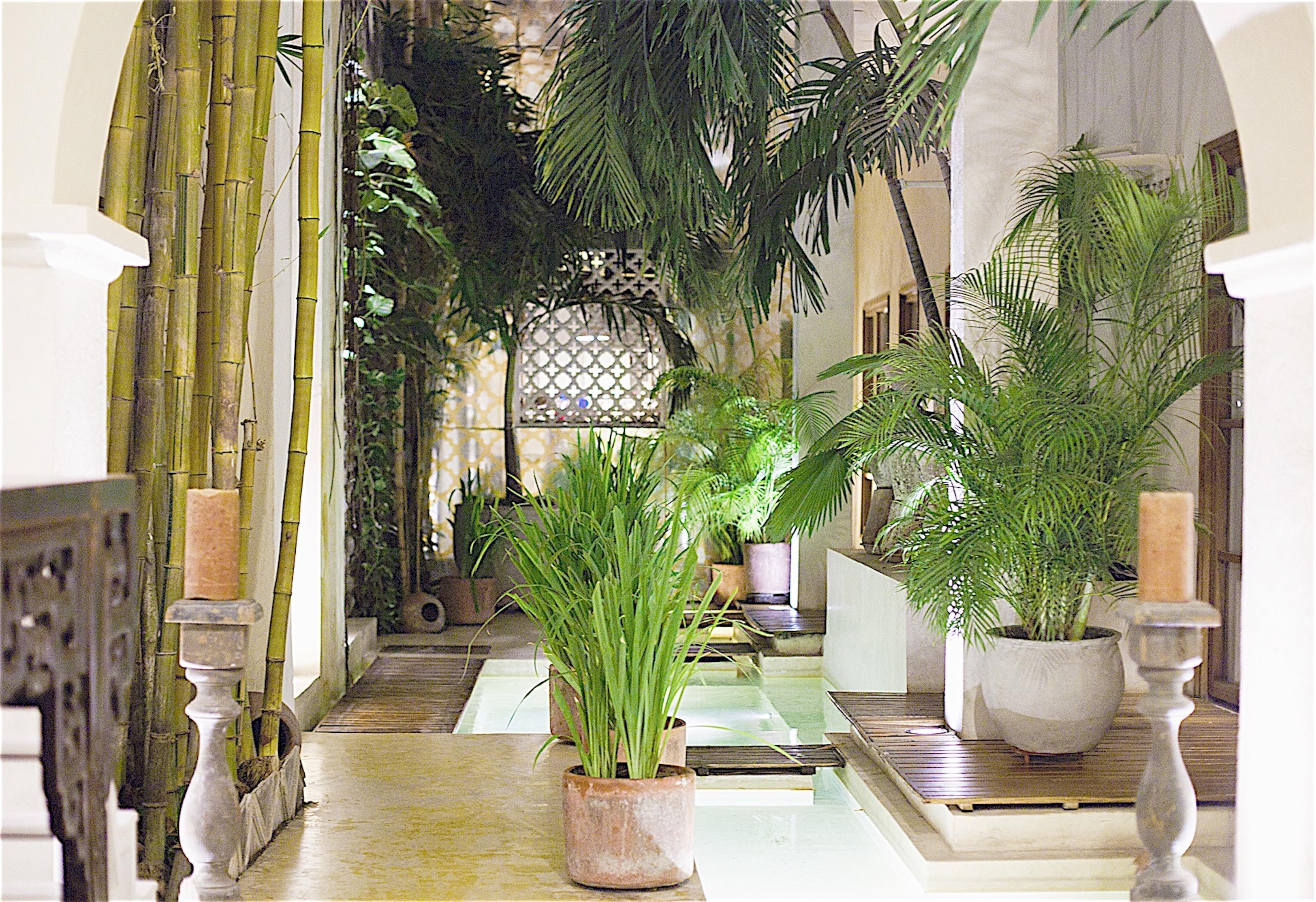 Casa Lola Deluxe Gallery Hotel Cartagena