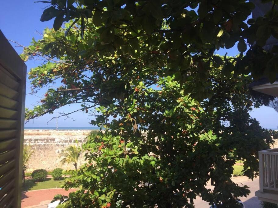 Apartment Specialplace For Family & Friends Sea View Rooftop *
