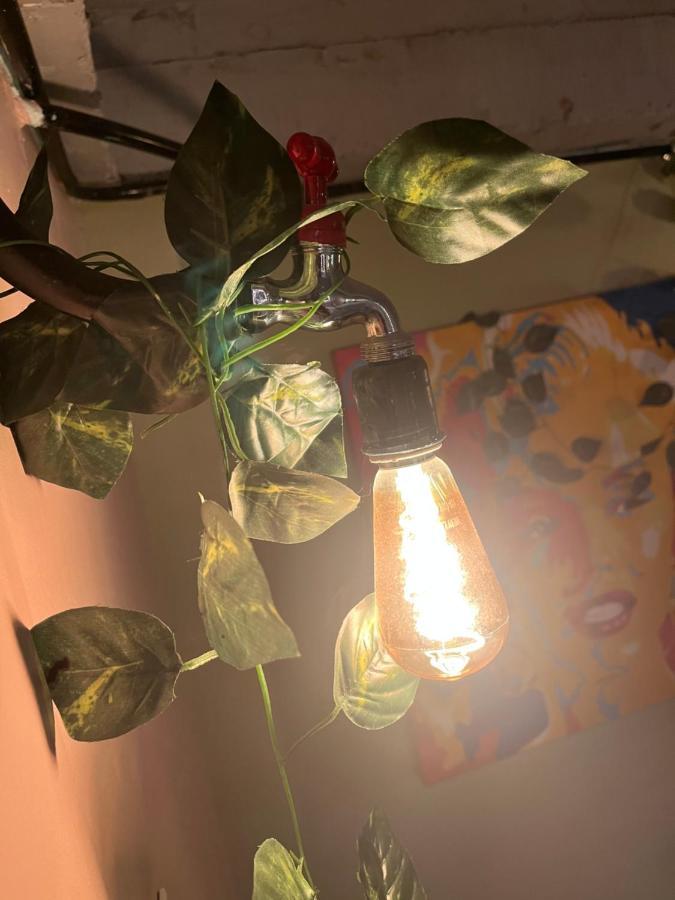 Loft Entero Cerca Al Centro Historico De