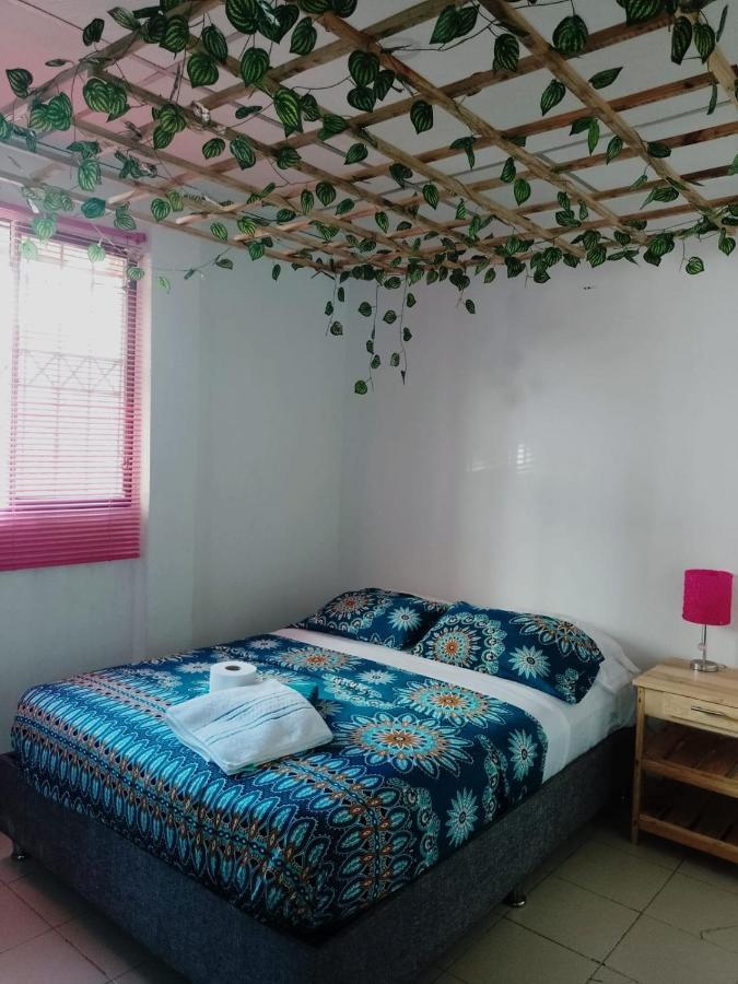 Apartment Cat Family Lodging Cartagena