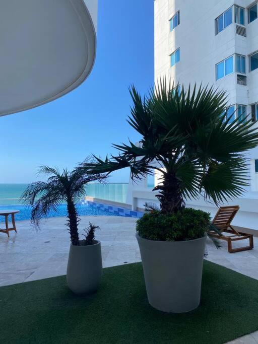 Frente A La Playa Apartment