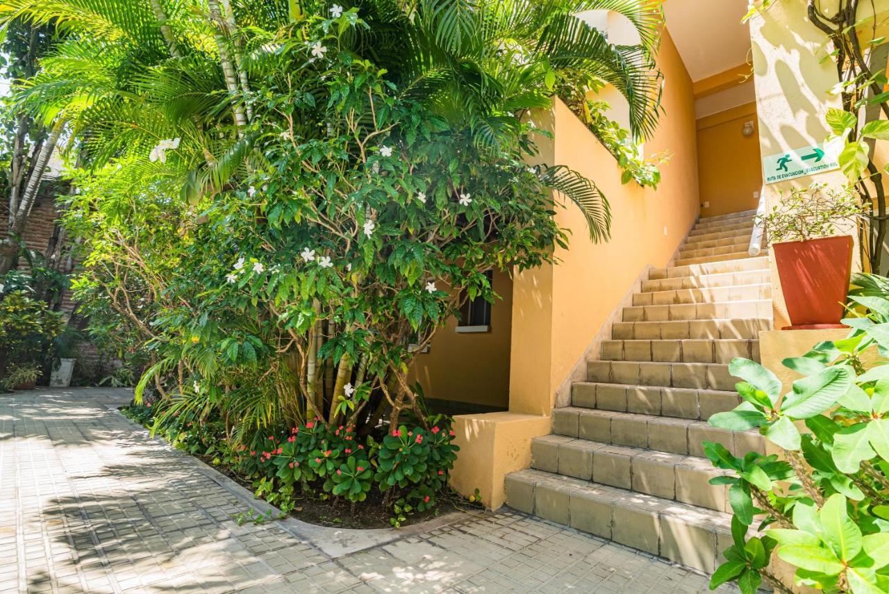 Apartamento Awesome 2br In Paradisiac