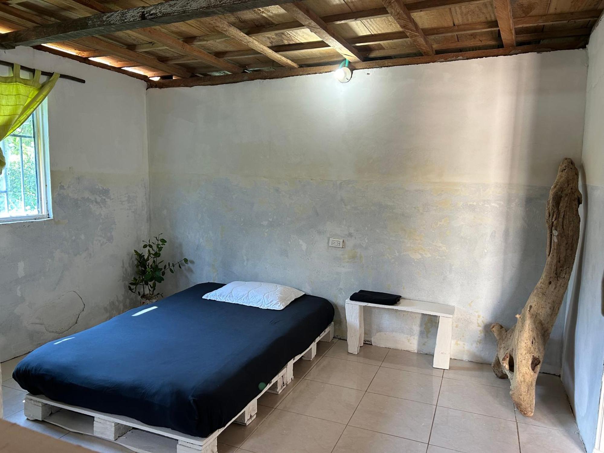 Ecohostal And Ecofit Completo01 Cartagena