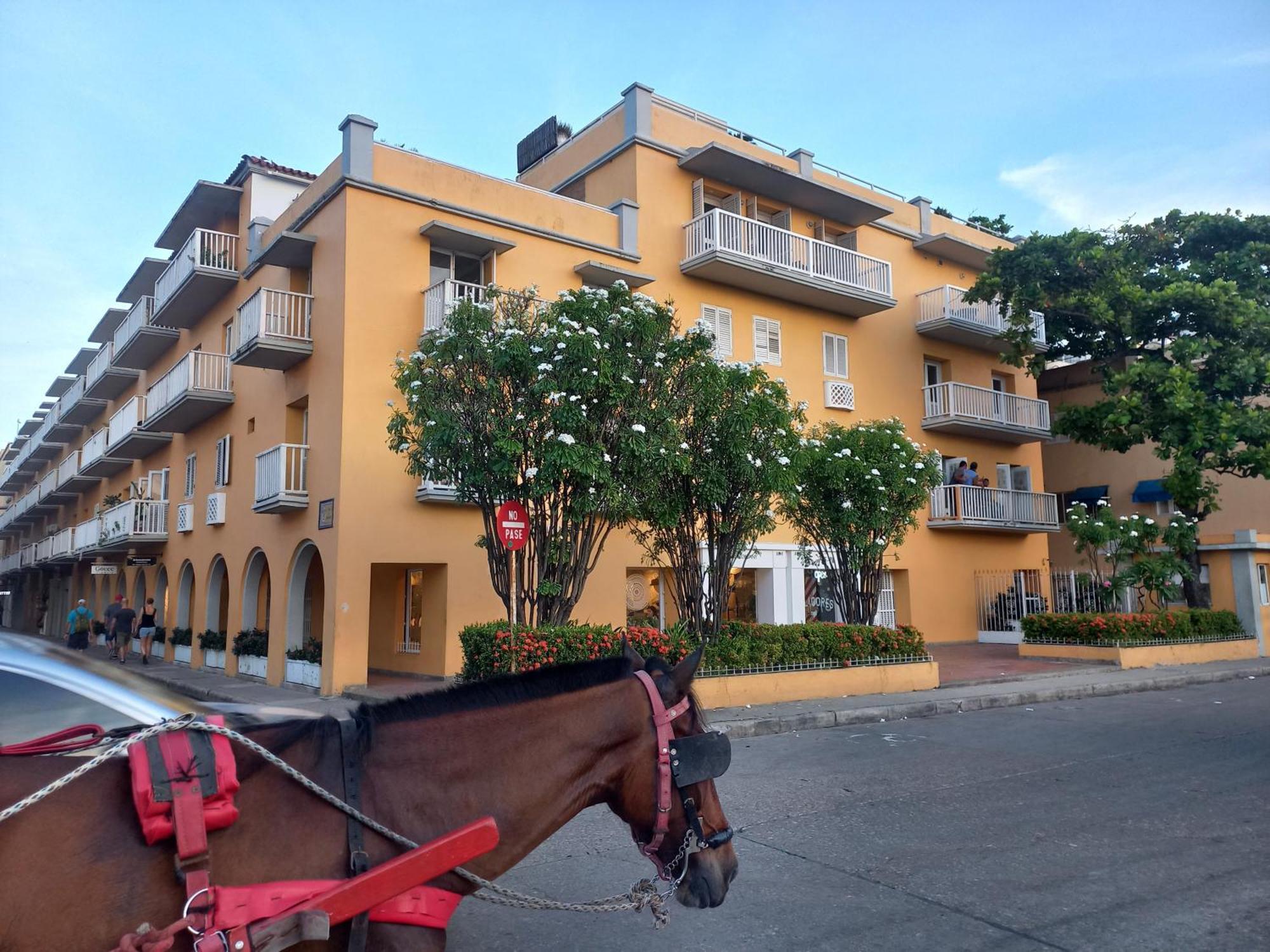 Centro Historico Apartment *