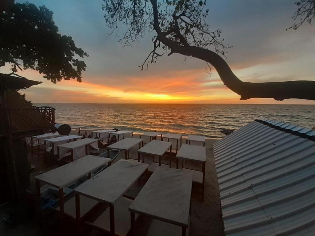 Oasisbluecartagena Hostel *