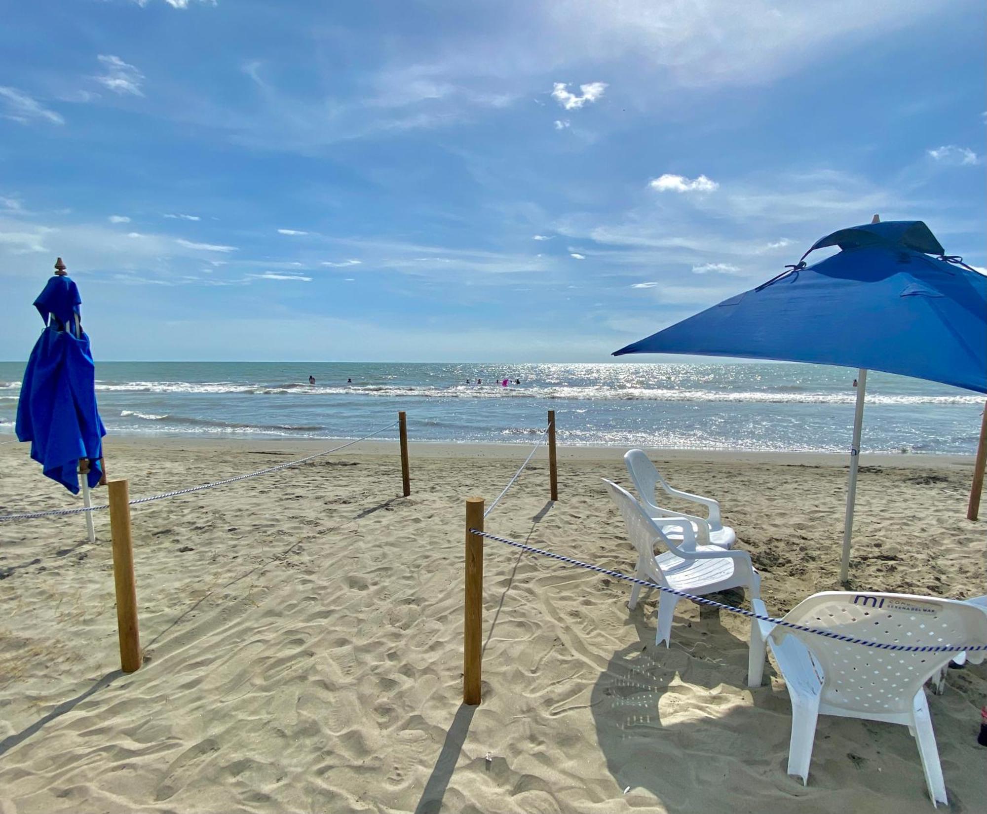 Apartment Manzanillo Del Mar - - Morros Zoe