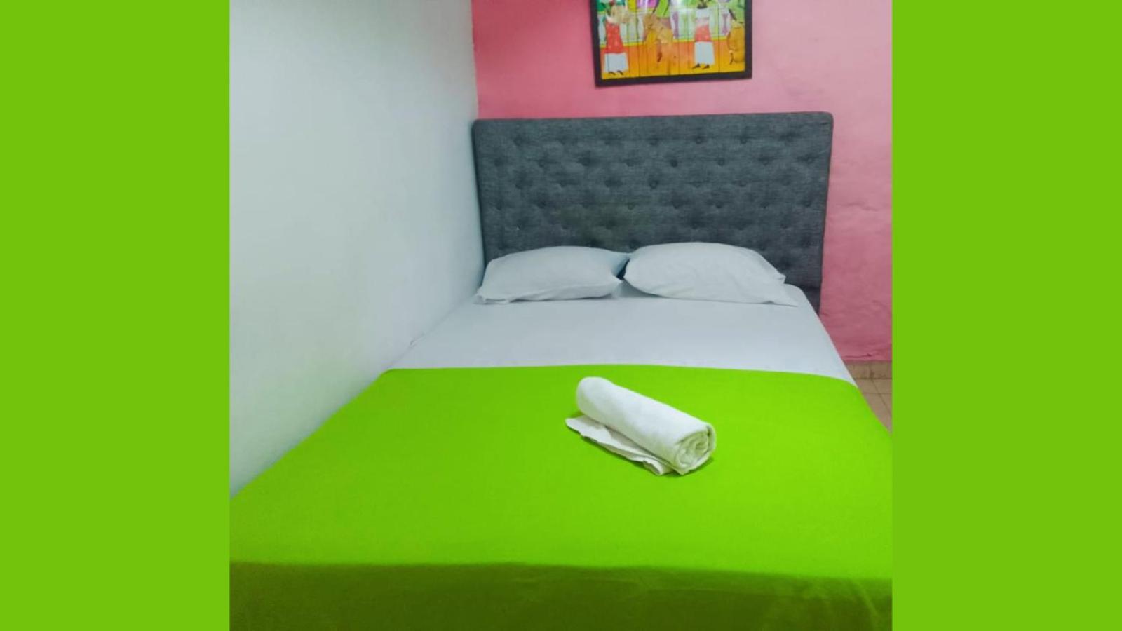 Guest house New Iguana House *