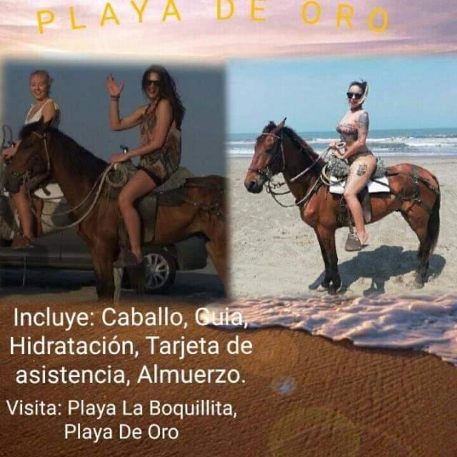 Cartagena, Nuevo Conquistador,hospedaje, Turismocolmbia-fit, Apartment *