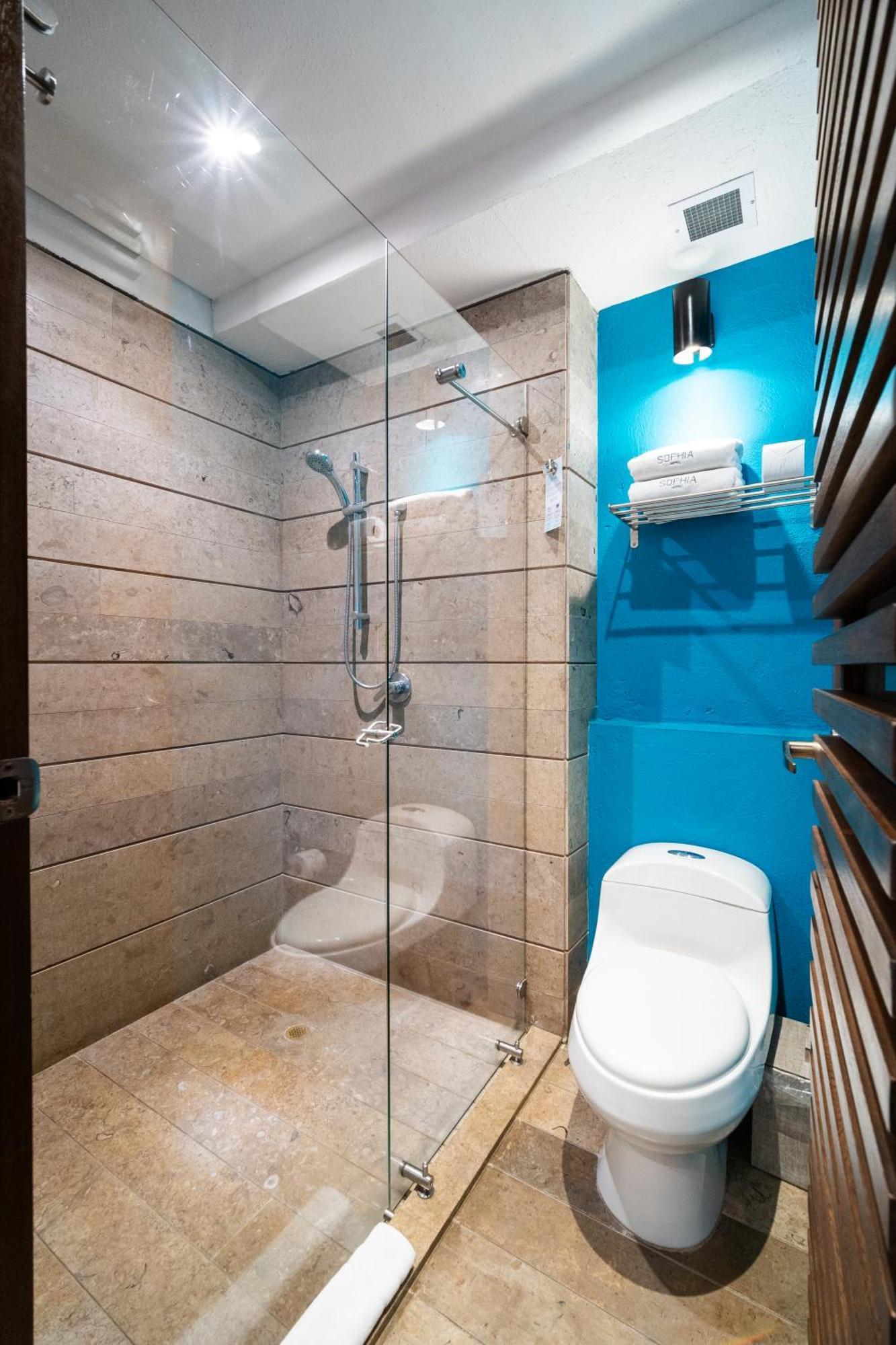 Hotel Sophia 5*