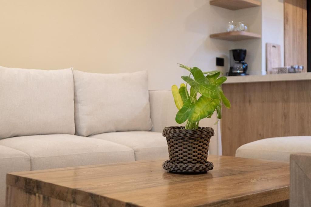 Casa Chance Apartment *