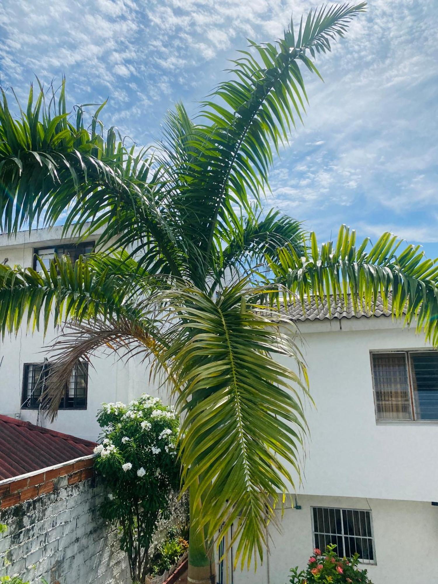 Guest house Paraiso Pie De La Popa *