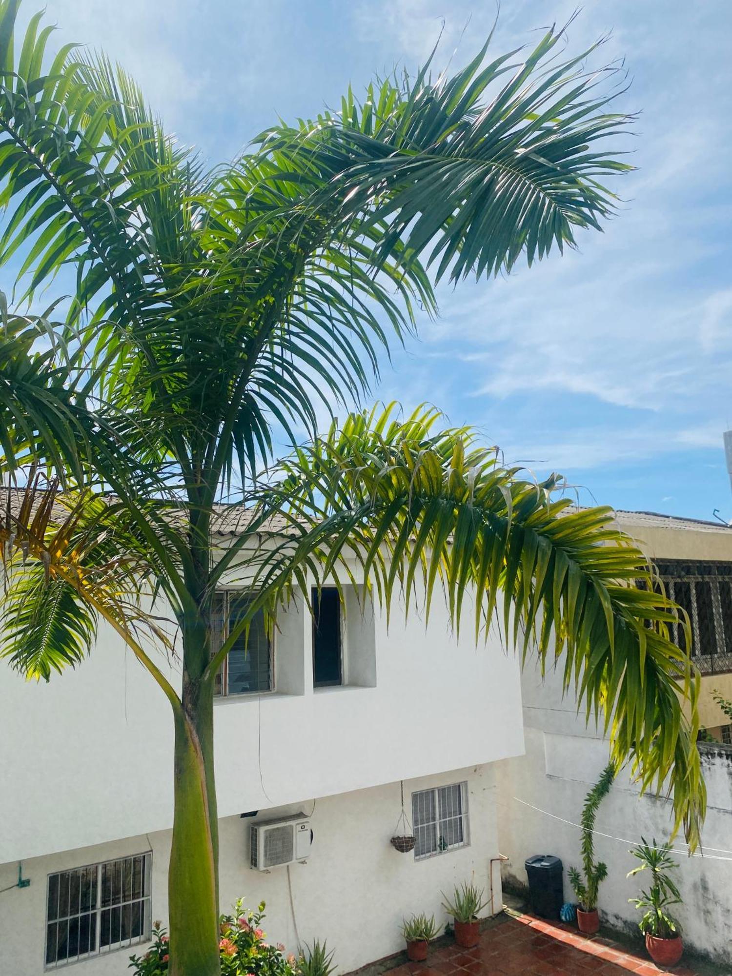 Paraiso Pie De La Popa Guest house *