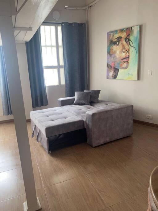Loft En Centro Historico Apartment *