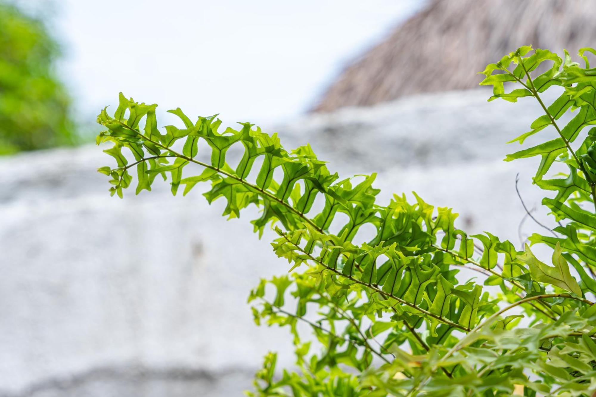Oresca Guest house Cartagena