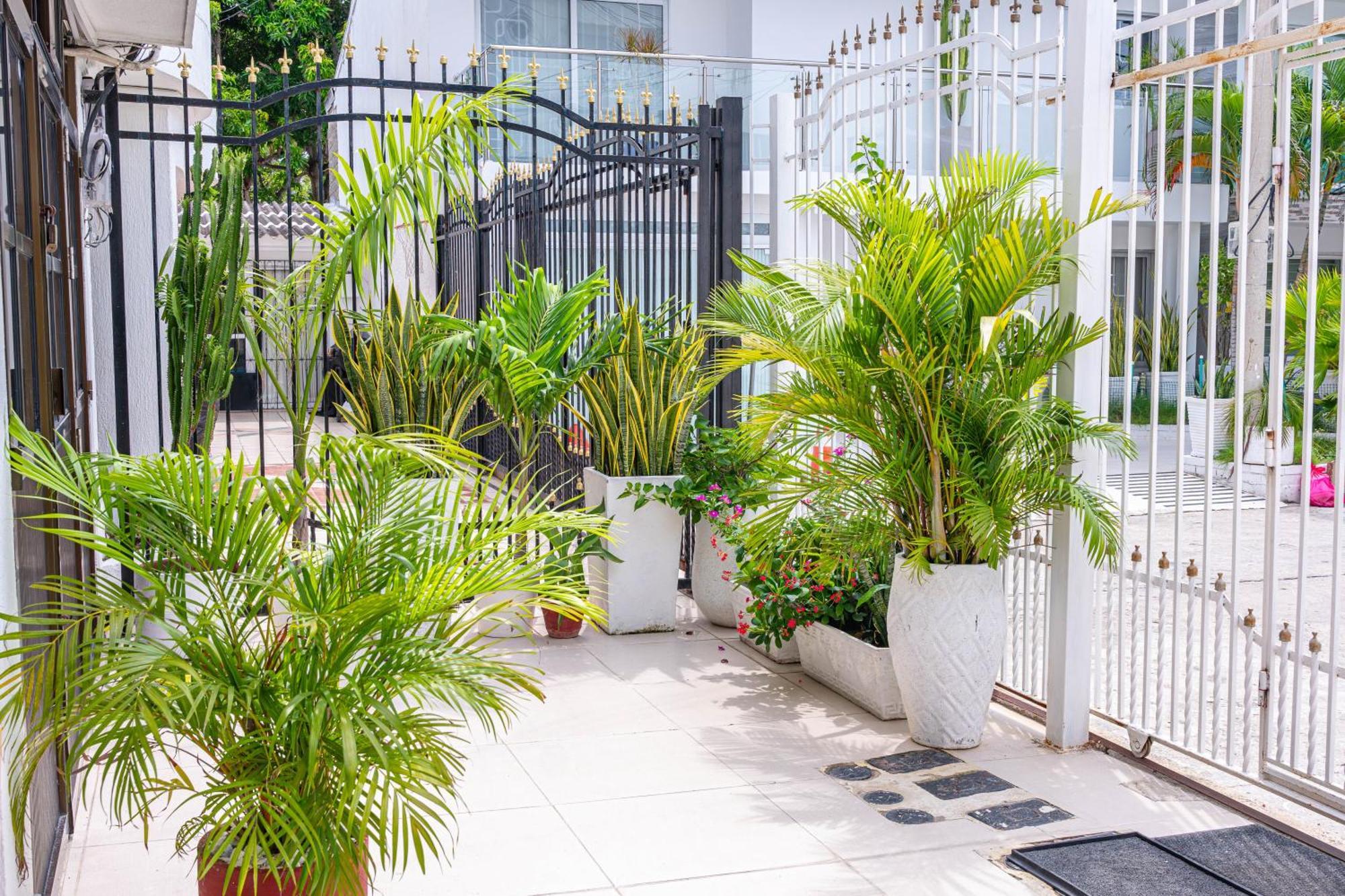 Oresca Guest house Cartagena